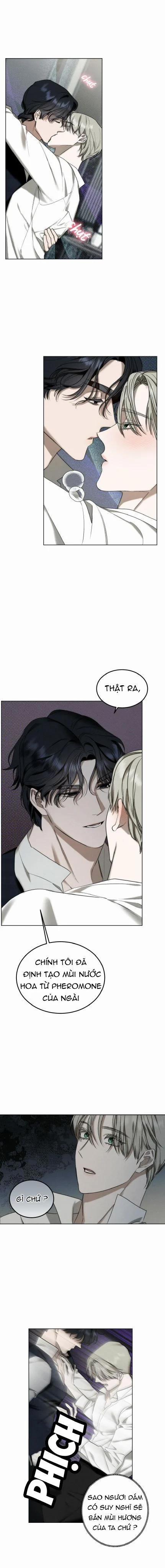 [18+] The Essence 2 trang 0