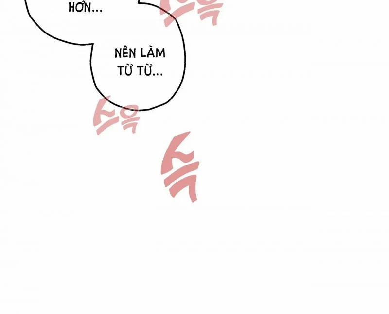 [18+] Thú Cưng Nguy Hiểm 12 trang 33