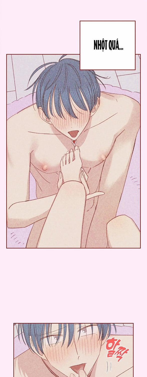 [18+] Thú Cưng Nguy Hiểm 17 trang 13