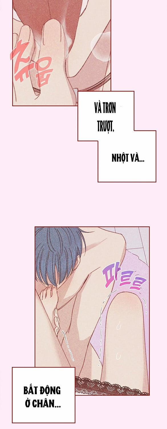 [18+] Thú Cưng Nguy Hiểm 17 trang 16