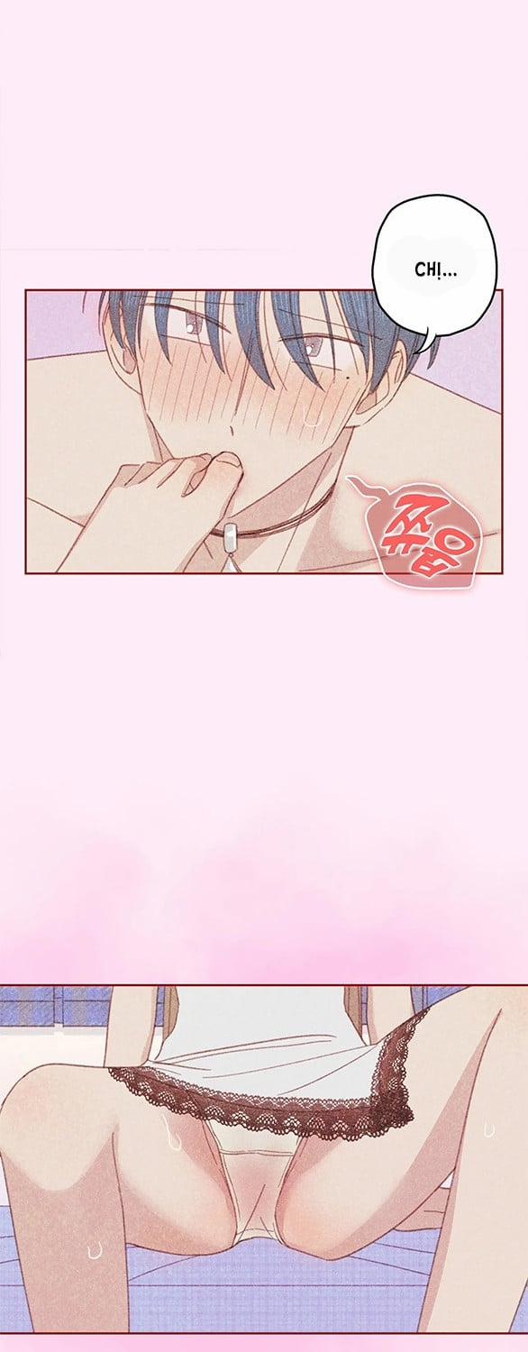 [18+] Thú Cưng Nguy Hiểm 17 trang 17