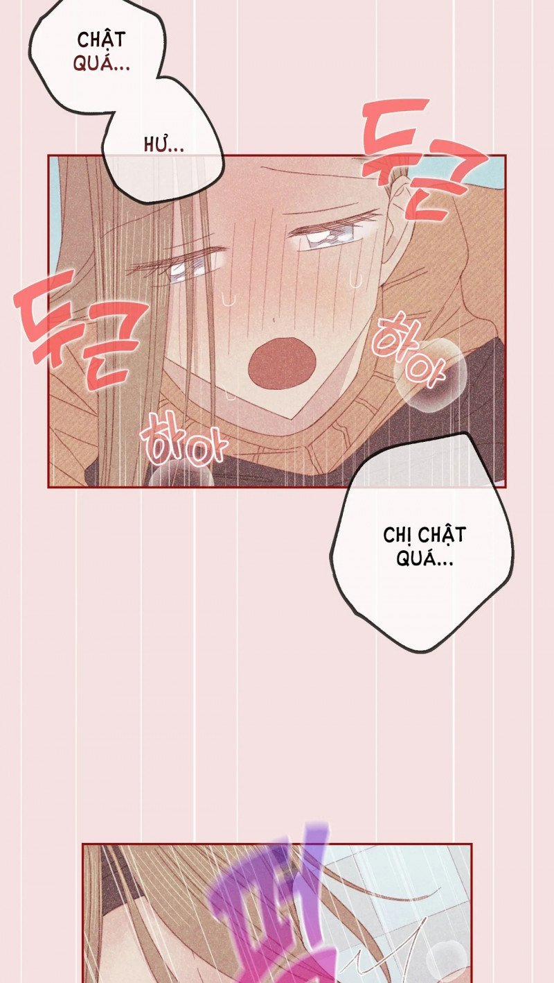 [18+] Thú Cưng Nguy Hiểm 20.5 trang 13