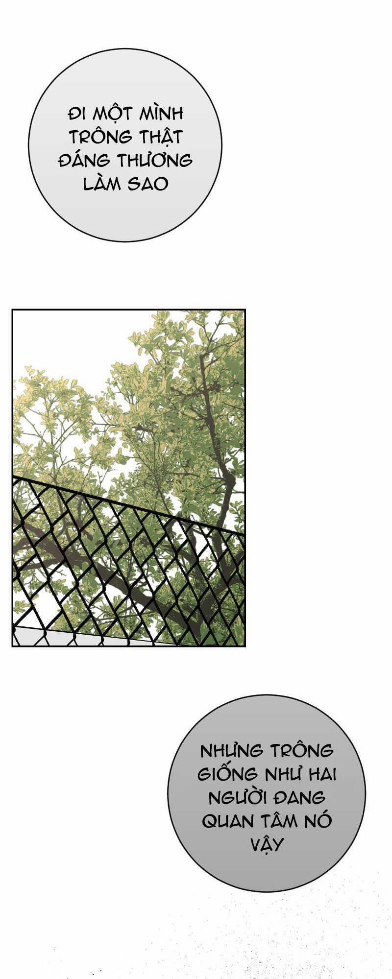 [18+] Tình Yêu Toxic Của Badboy 7.2 trang 38