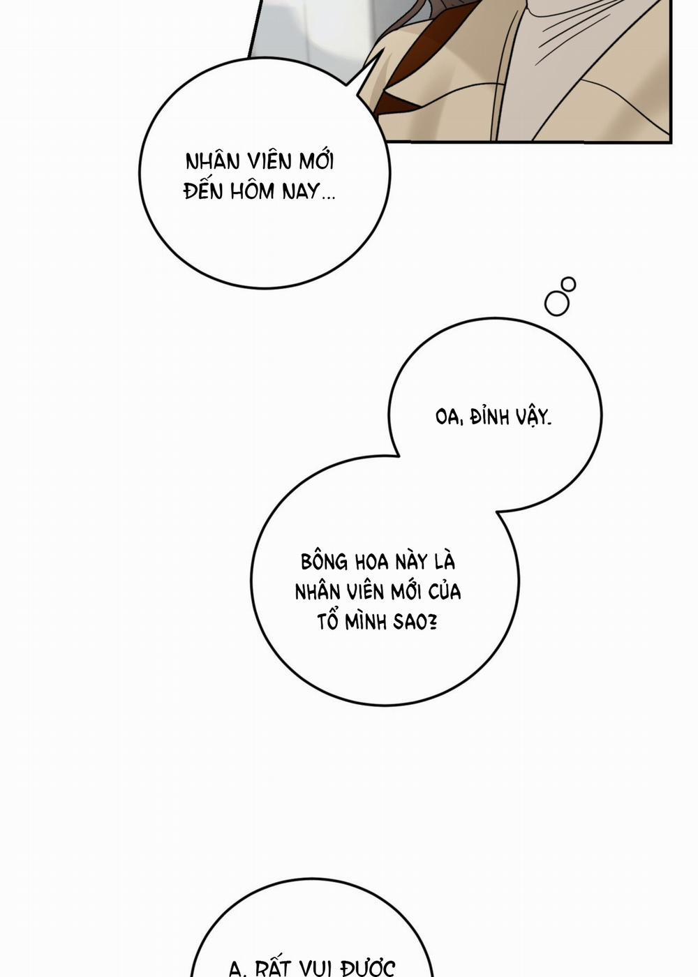 [18+] Tôi Đổ Anh Rồi, Trưởng Phòng 5.2 trang 4