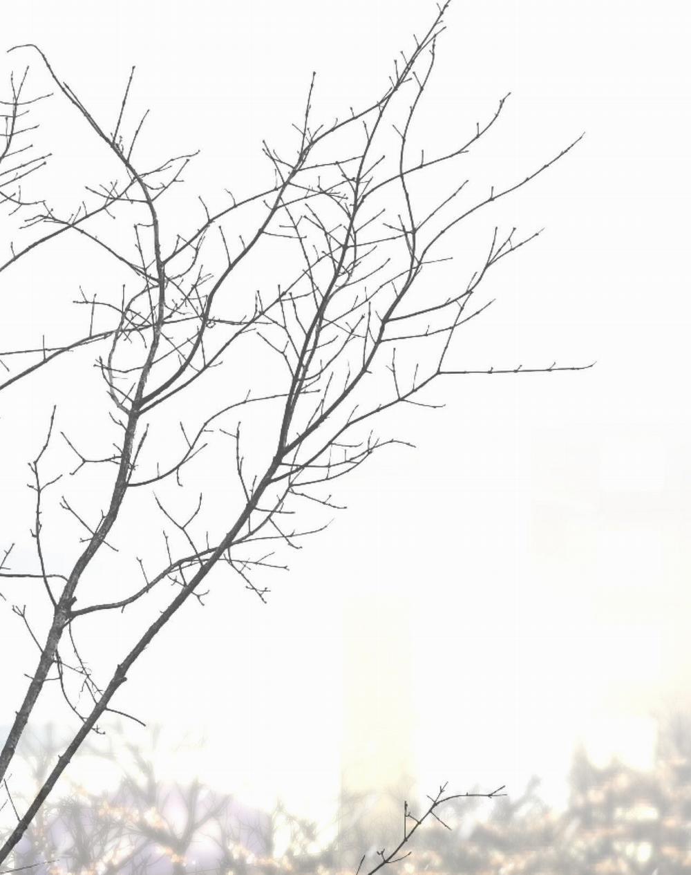 [18+] Trời Sinh Địch Thủ 26.2 trang 37