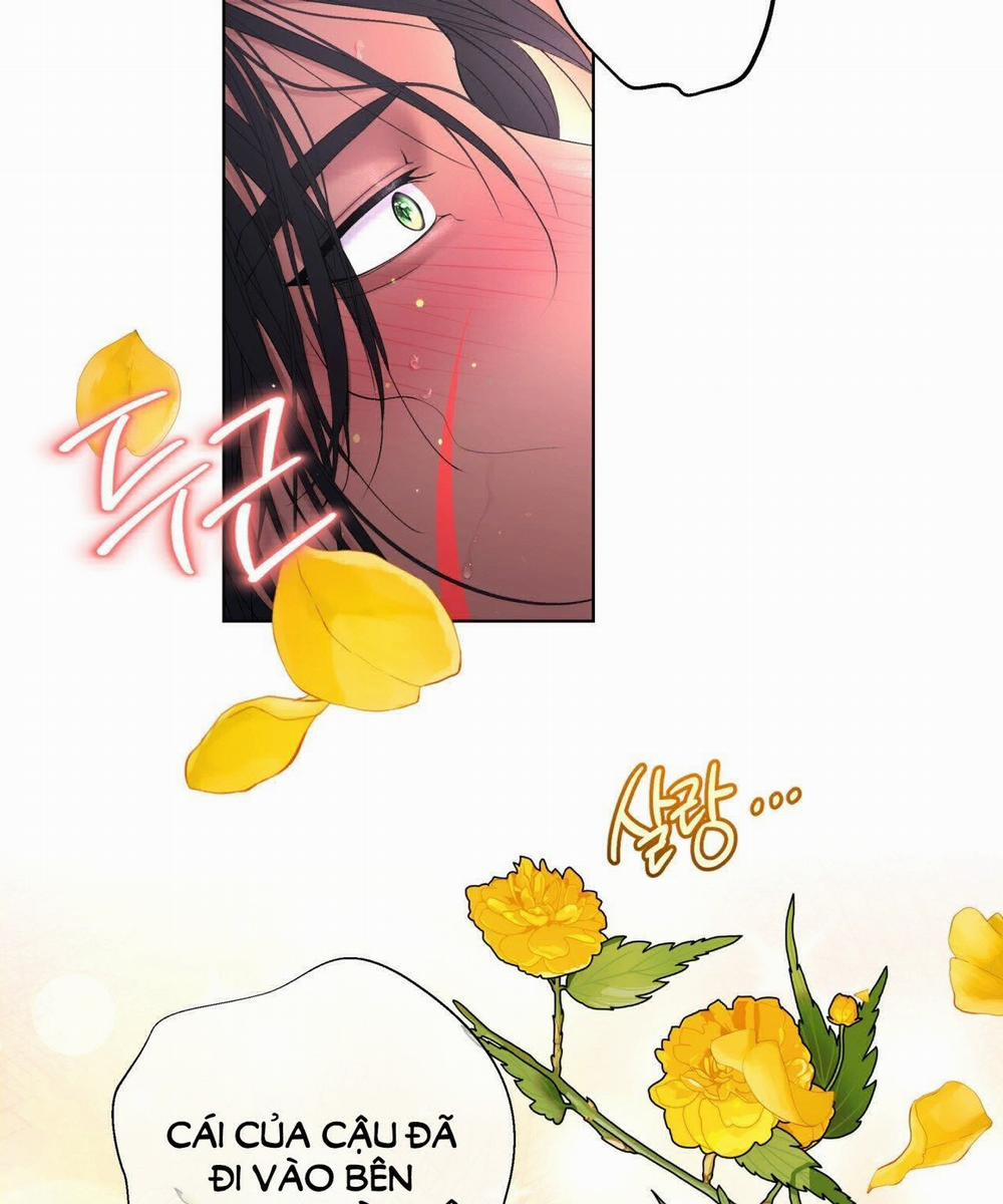 [18+ Truyện Ngắn Nam Cơ Bắp] Nếu Không Làm Thì Không Thể Ra Được Sao?! 3.1 trang 36