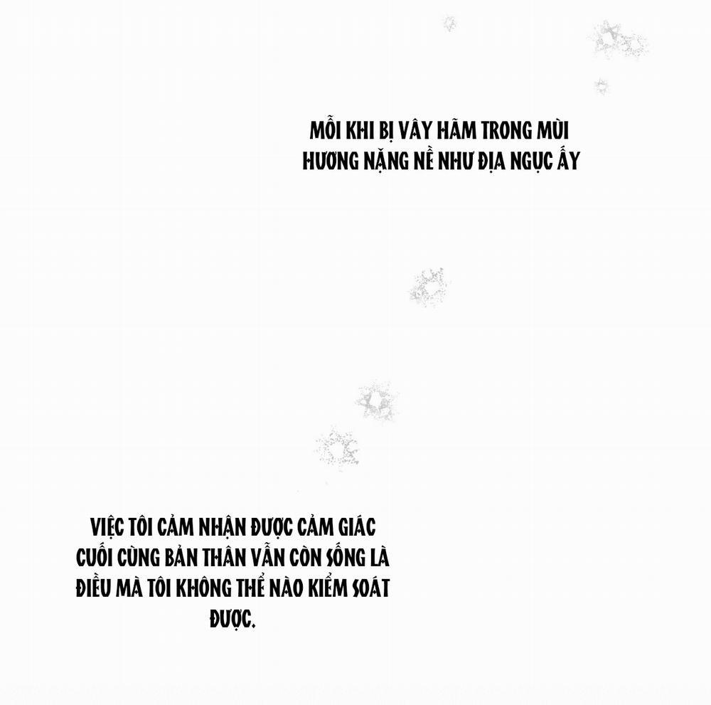 [18+] Tỷ Lệ Xác Suất 11.1 trang 18