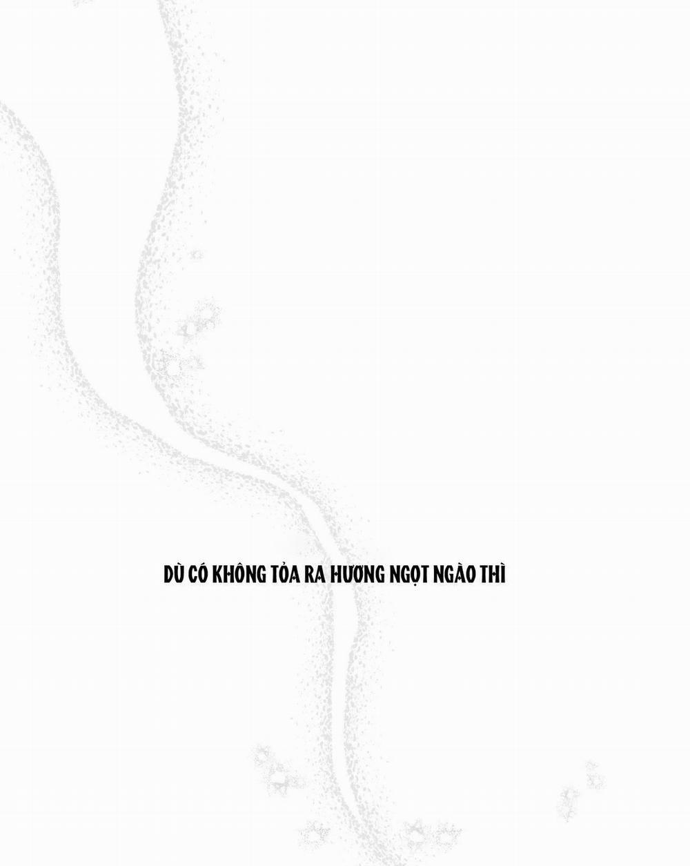 [18+] Tỷ Lệ Xác Suất 11.2 trang 37