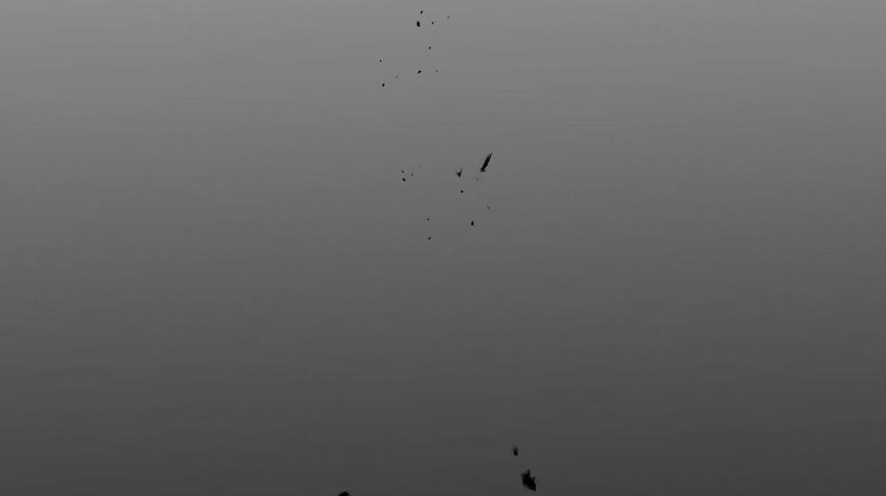 [18+] Tỷ Lệ Xác Suất 2.2 trang 111