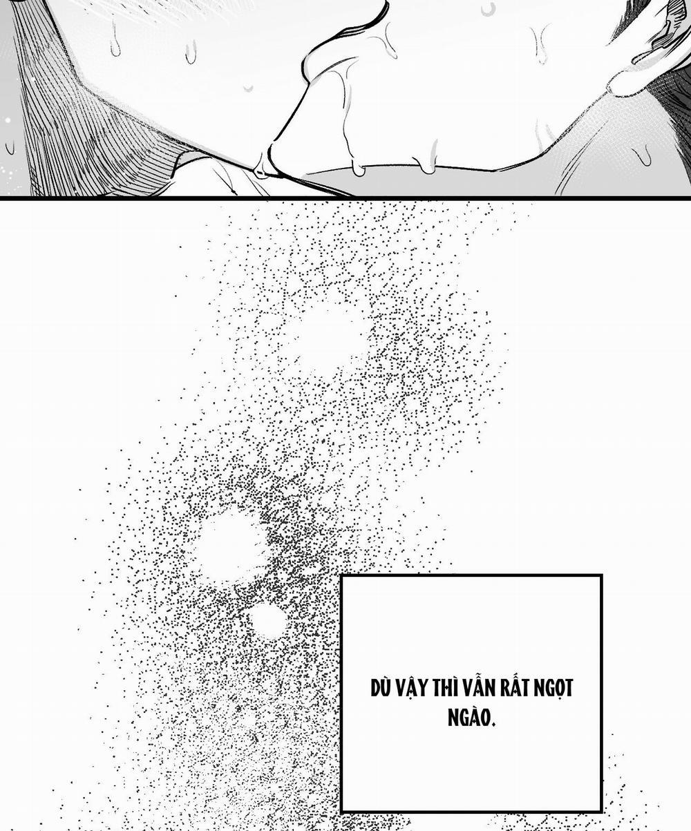 [18+] Tỷ Lệ Xác Suất 3.2 trang 11