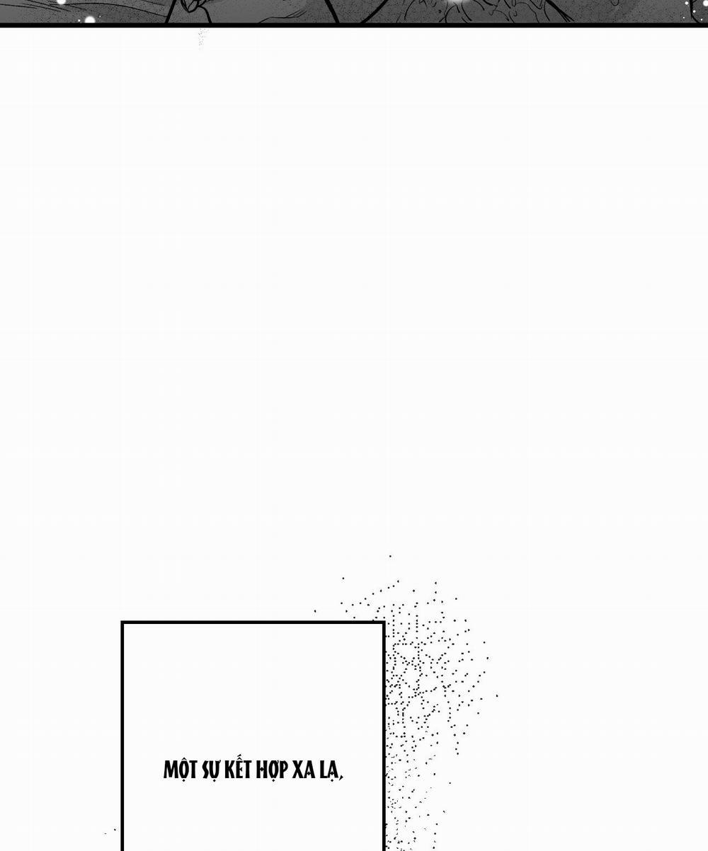 [18+] Tỷ Lệ Xác Suất 3.2 trang 4