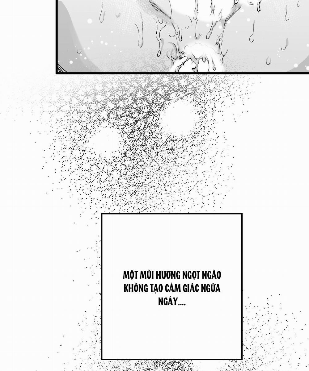 [18+] Tỷ Lệ Xác Suất 3.2 trang 8