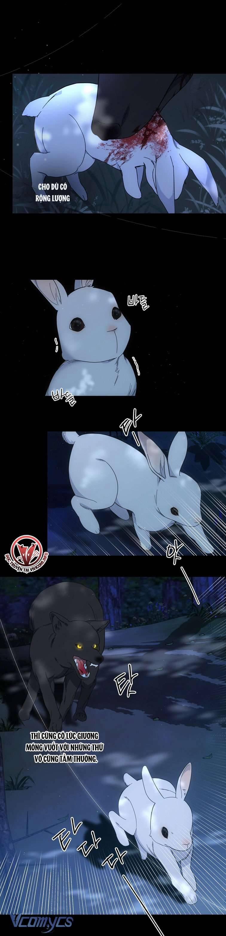 [18+] Vì Những Thứ Đã Tan Vỡ 28 trang 12