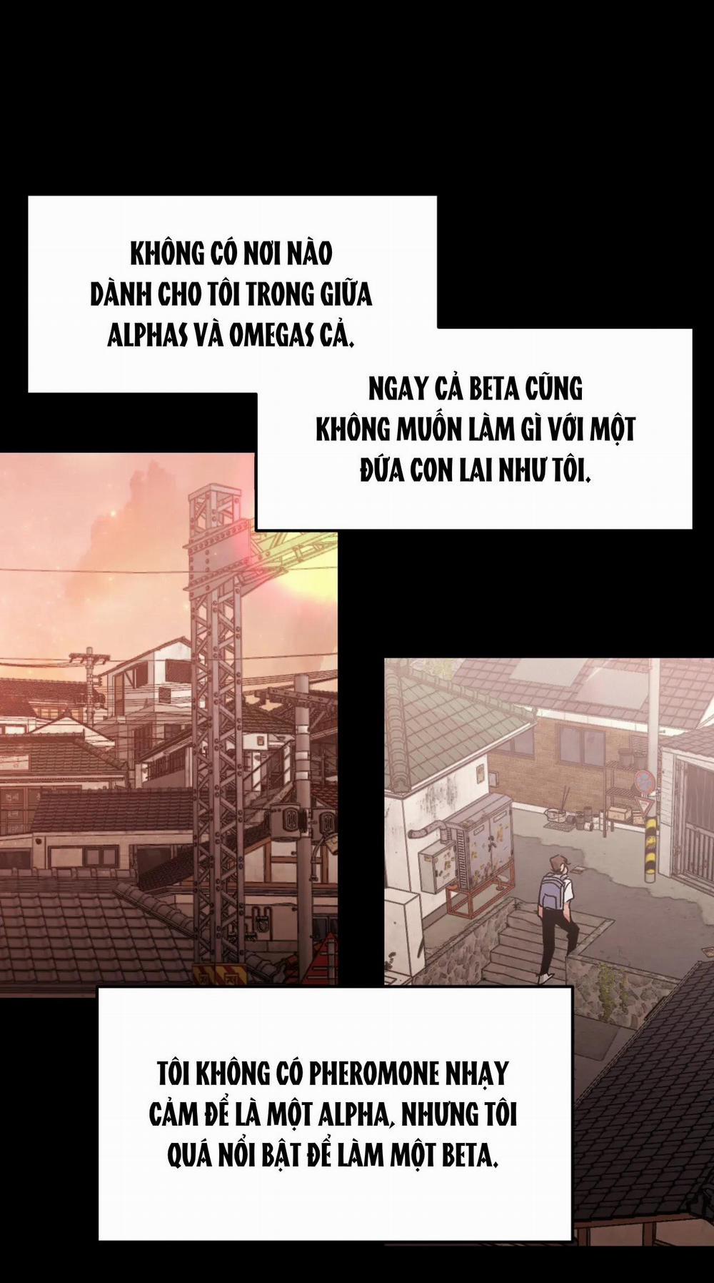 [18+] Viết Lên Những Vì Sao 1.1 trang 18