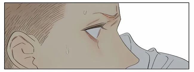 19 Days 468 trang 15