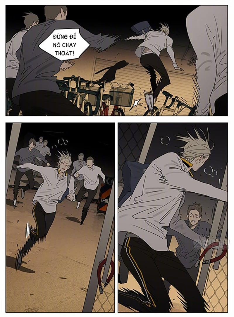 19 Days 516 trang 8