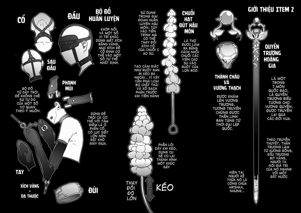 王となる者～王姫調教録～ 3 trang 14