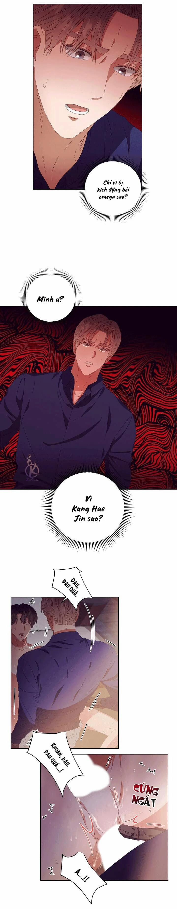 (21+) Nhân Duyên 99.99% 22 trang 12