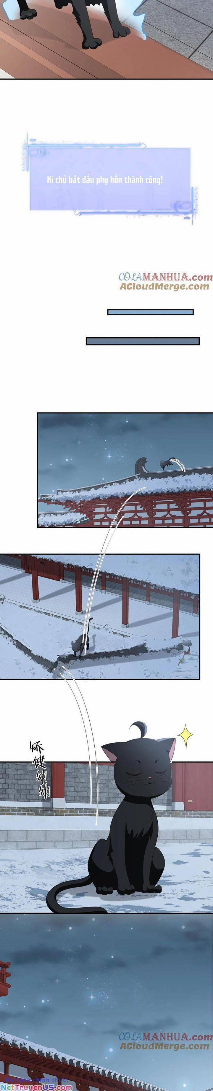 3 Kiếp Xui Xẻo, Kiếp Này Cùng Ta Thần Kinh 160 trang 6