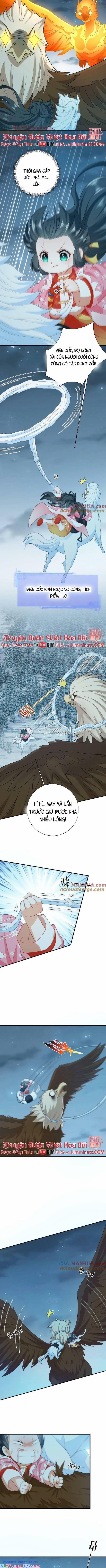 3 Kiếp Xui Xẻo, Kiếp Này Cùng Ta Thần Kinh 67 trang 1