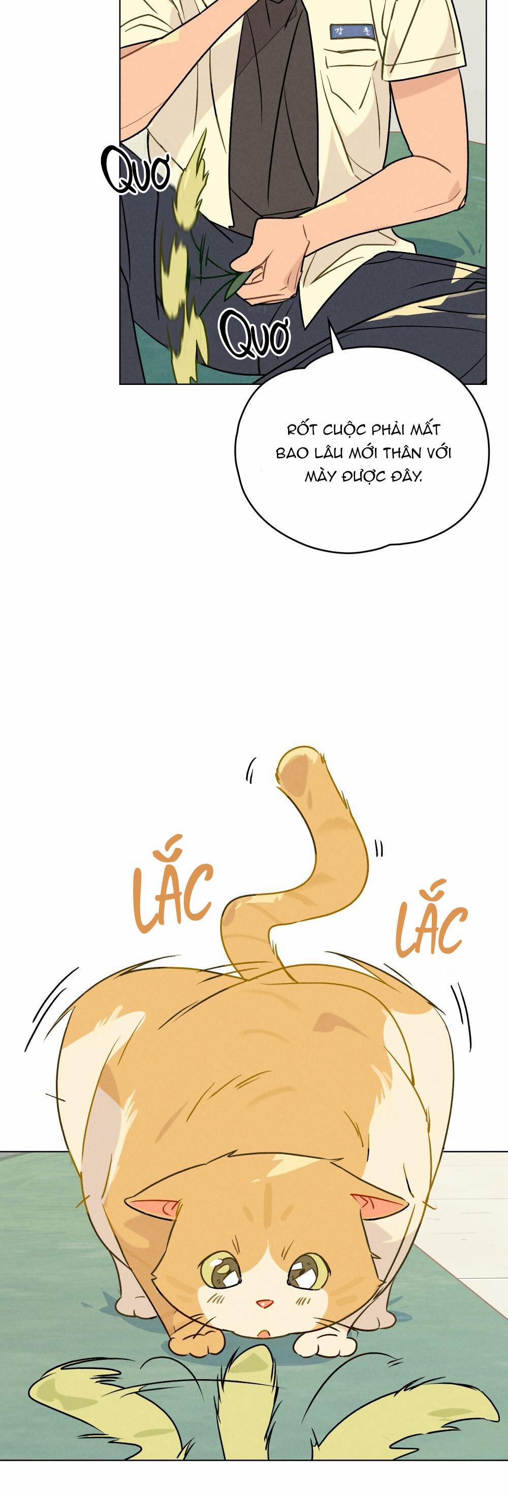 30 PHÚT TRƯỚC KHI TỎ TÌNH 13 trang 18