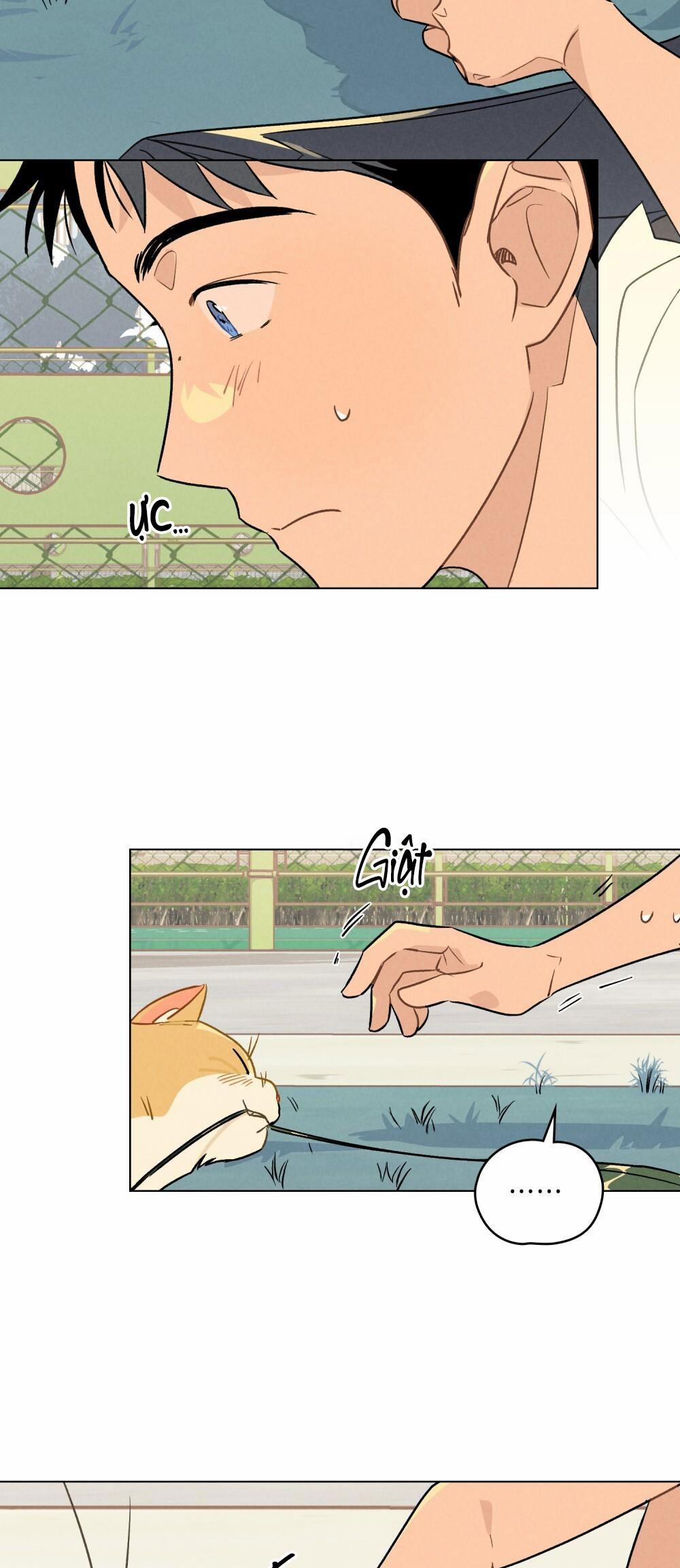 30 PHÚT TRƯỚC KHI TỎ TÌNH 13 trang 21