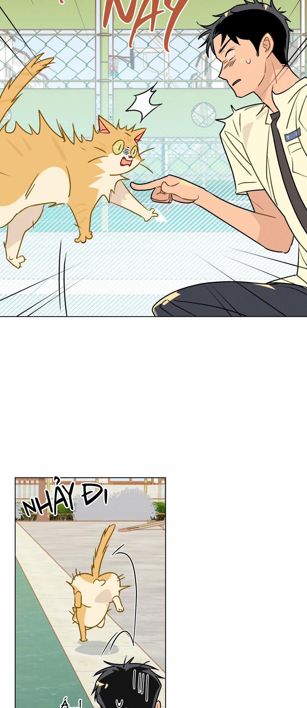 30 PHÚT TRƯỚC KHI TỎ TÌNH 13 trang 23