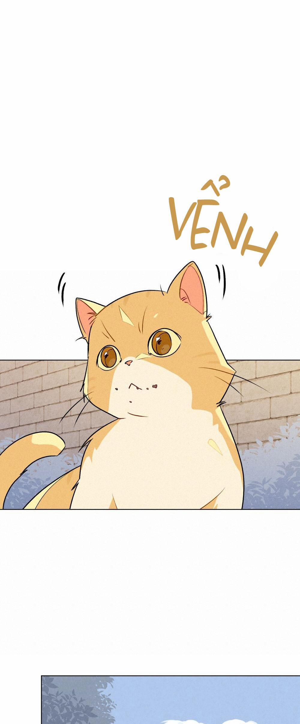 30 PHÚT TRƯỚC KHI TỎ TÌNH 20 trang 34