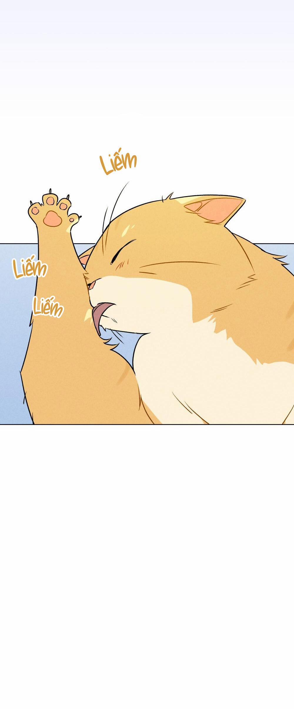 30 PHÚT TRƯỚC KHI TỎ TÌNH 20 trang 40