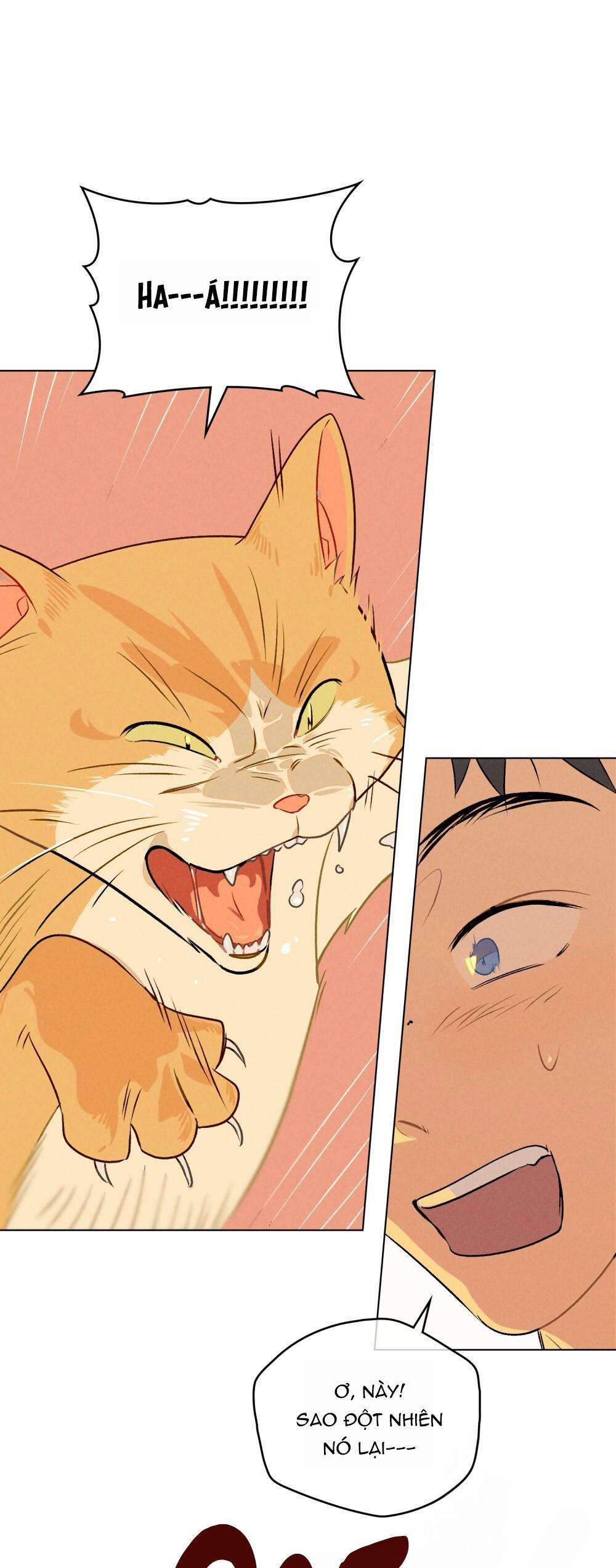 30 PHÚT TRƯỚC KHI TỎ TÌNH 7 trang 12