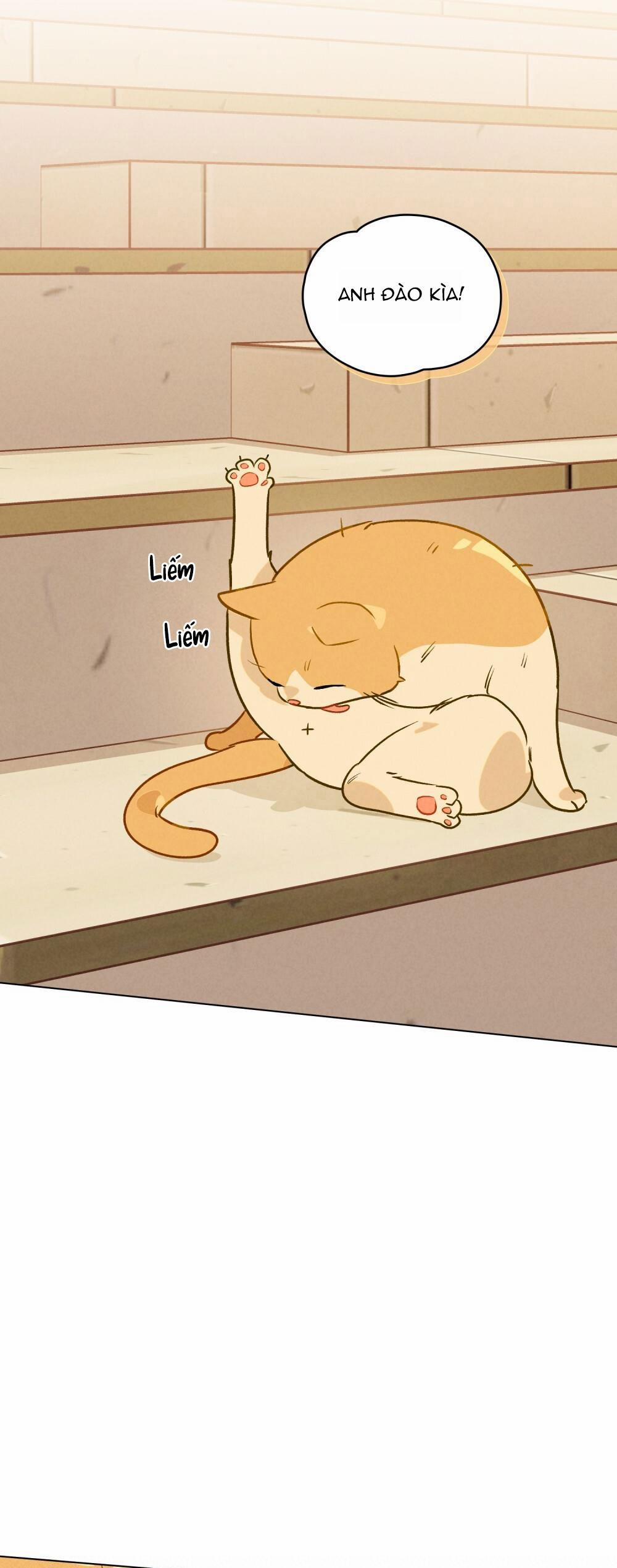 30 PHÚT TRƯỚC KHI TỎ TÌNH 7 trang 9