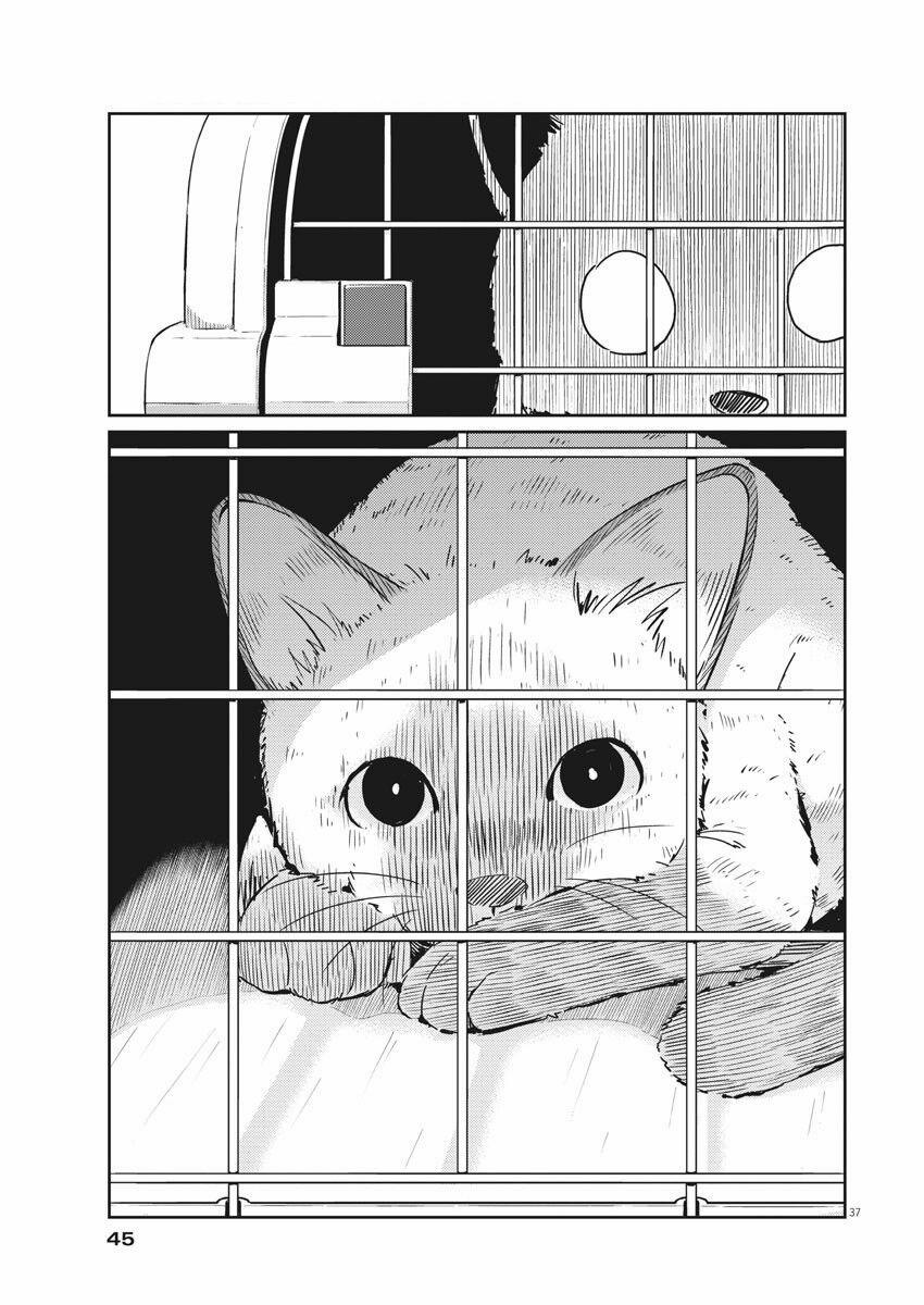 365 Ngày Cho Đến Lúc 2 Ta Kết Hôn 1 trang 37