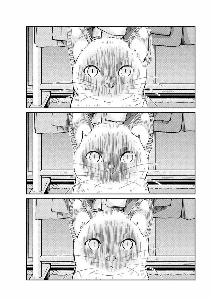 365 Ngày Cho Đến Lúc 2 Ta Kết Hôn 42 trang 12