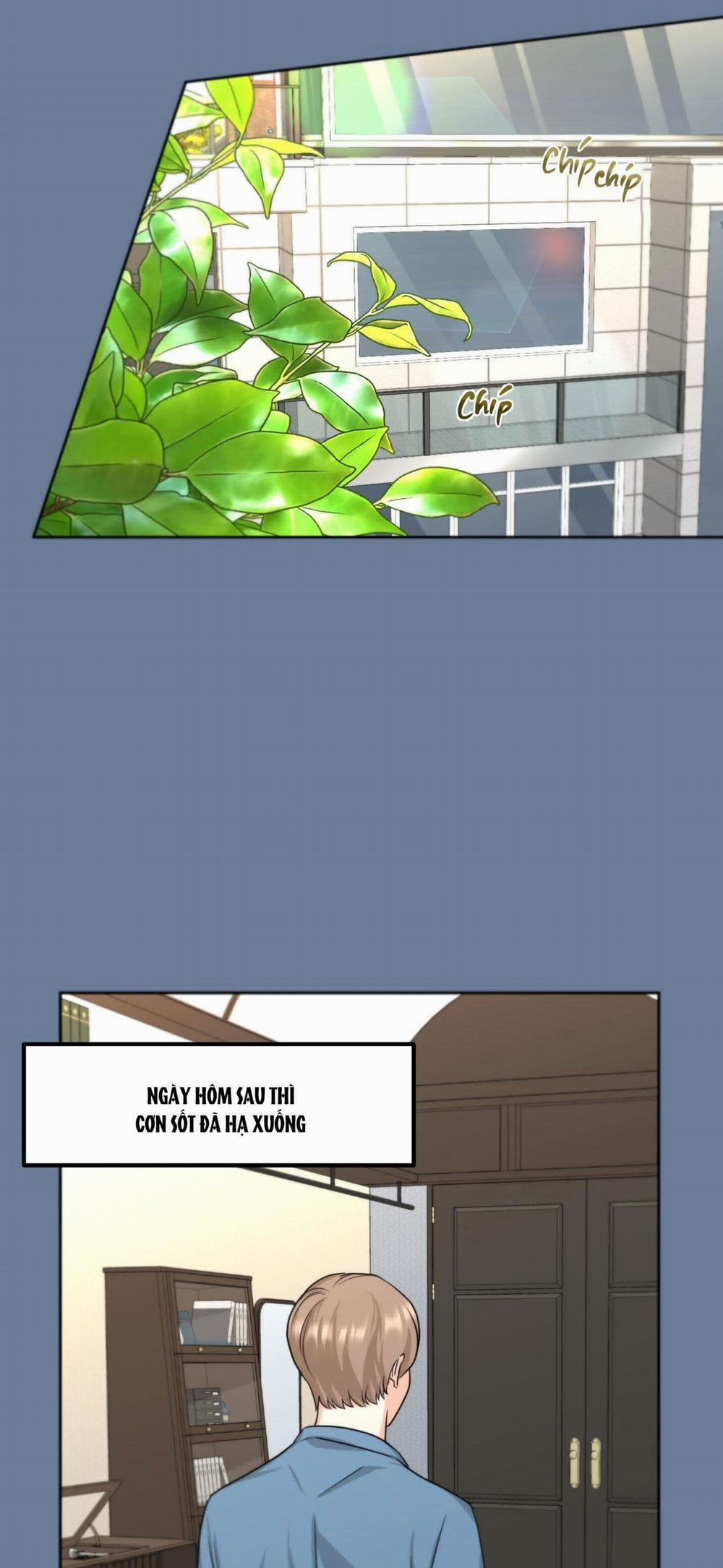 (3P) Sự Phụ Thuộc Giữa Củi Và Lửa 11 trang 25