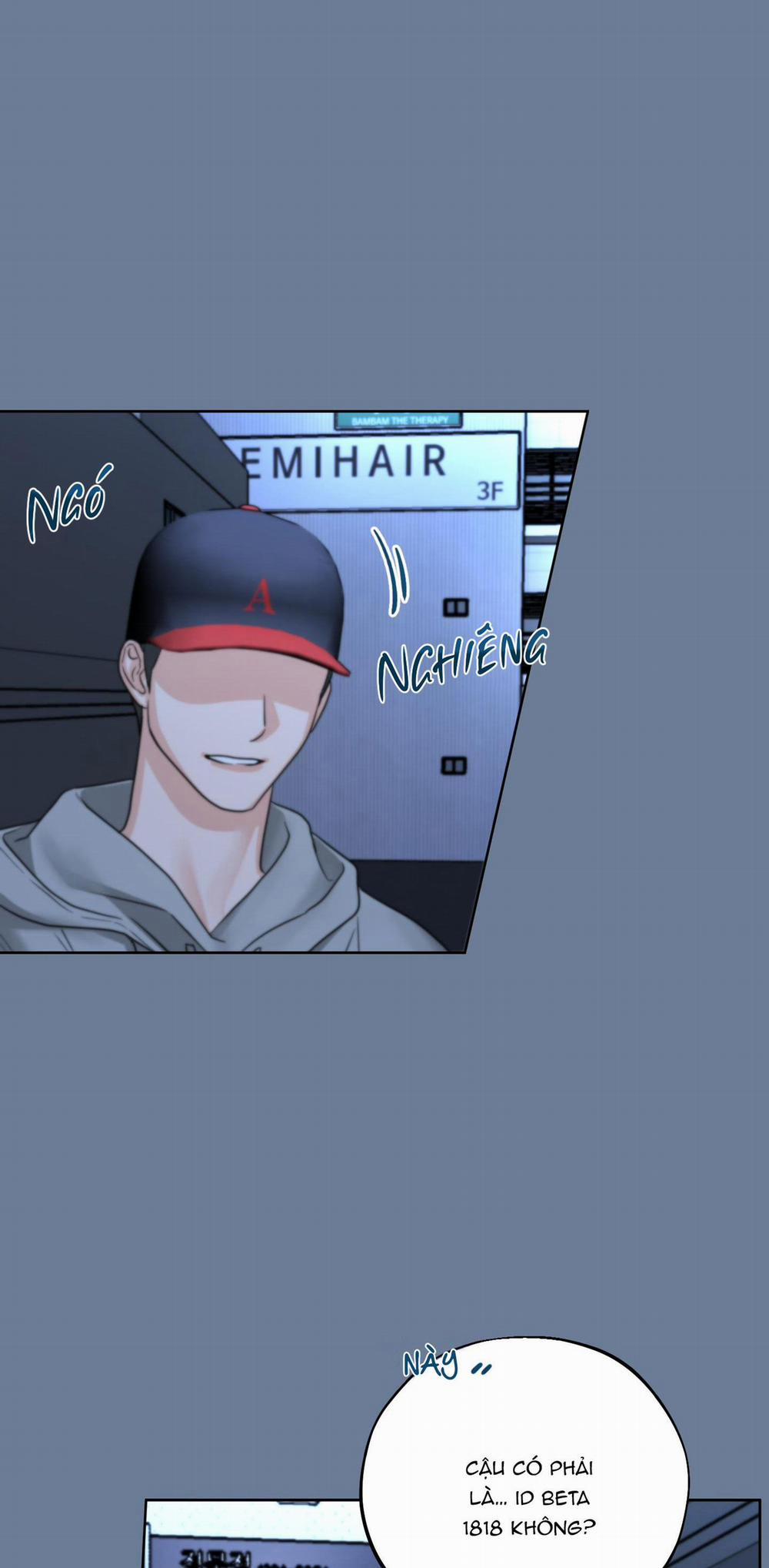 (3P) Sự Phụ Thuộc Giữa Củi Và Lửa 11 trang 41