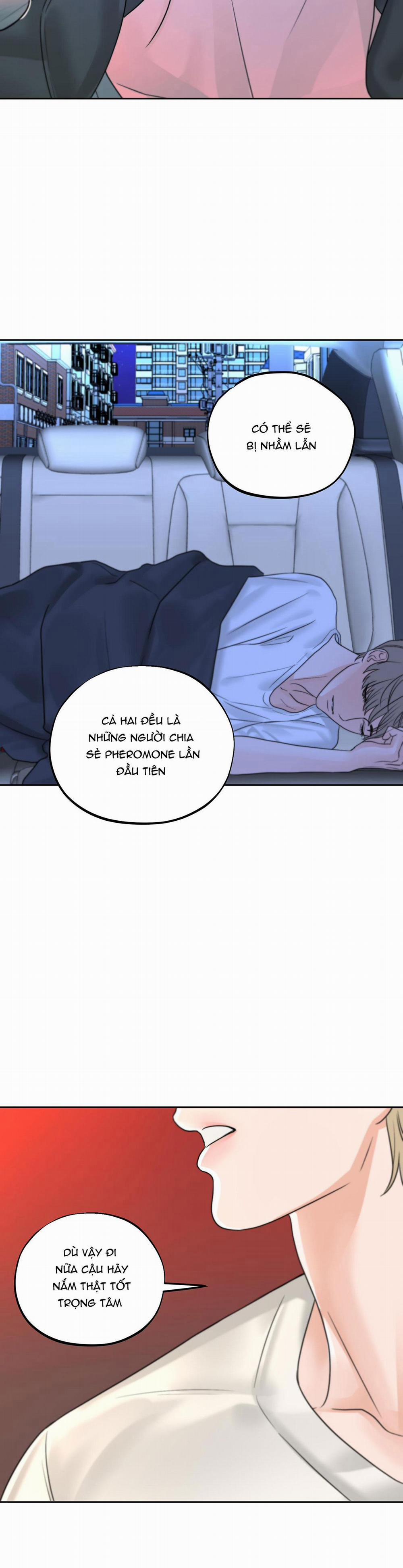 (3P) Sự Phụ Thuộc Giữa Củi Và Lửa 16 trang 19