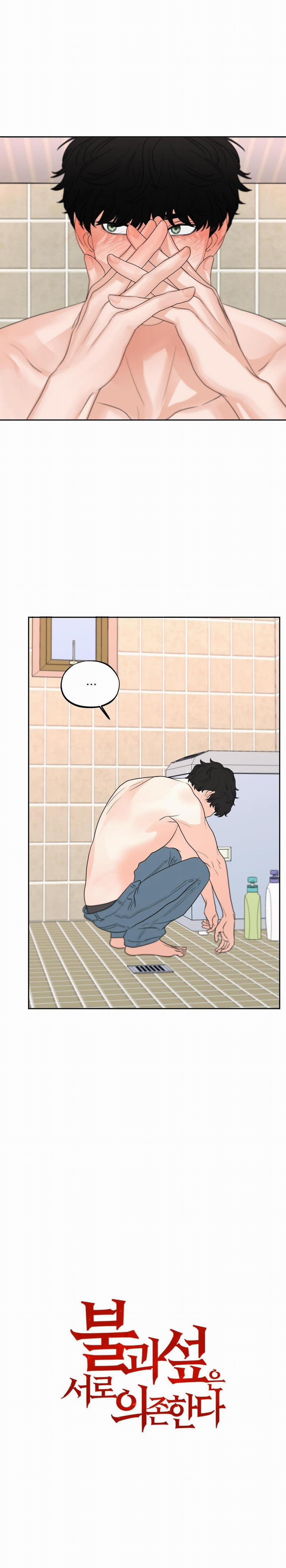 (3P) Sự Phụ Thuộc Giữa Củi Và Lửa 17 trang 0