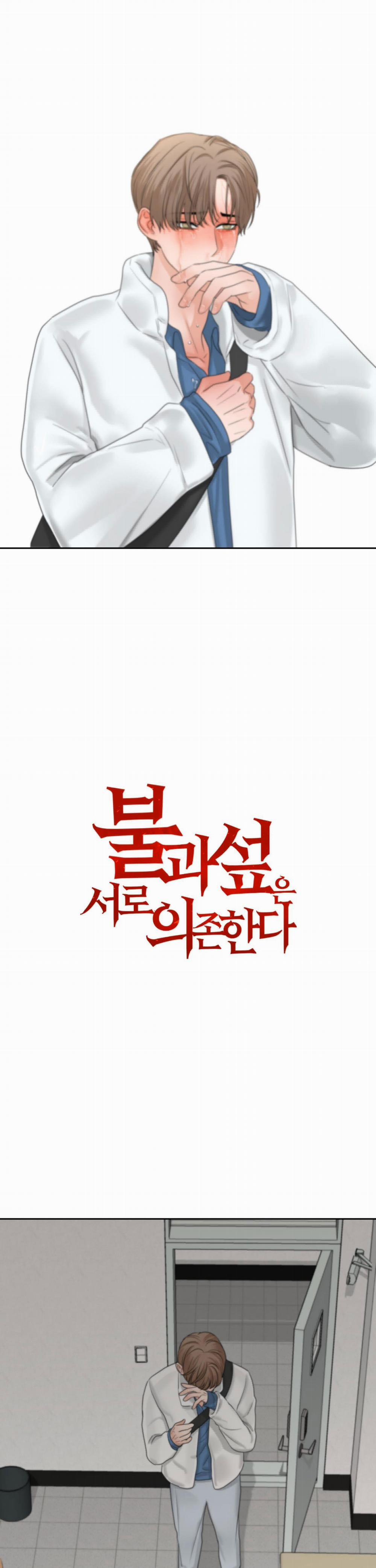 (3P) Sự Phụ Thuộc Giữa Củi Và Lửa 19 trang 0