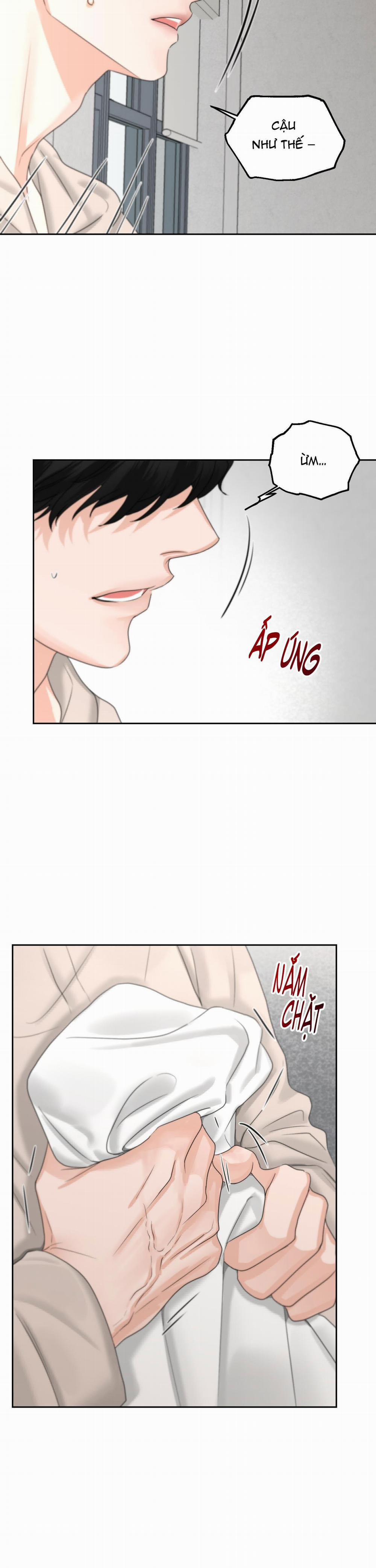 (3P) Sự Phụ Thuộc Giữa Củi Và Lửa 19 trang 3