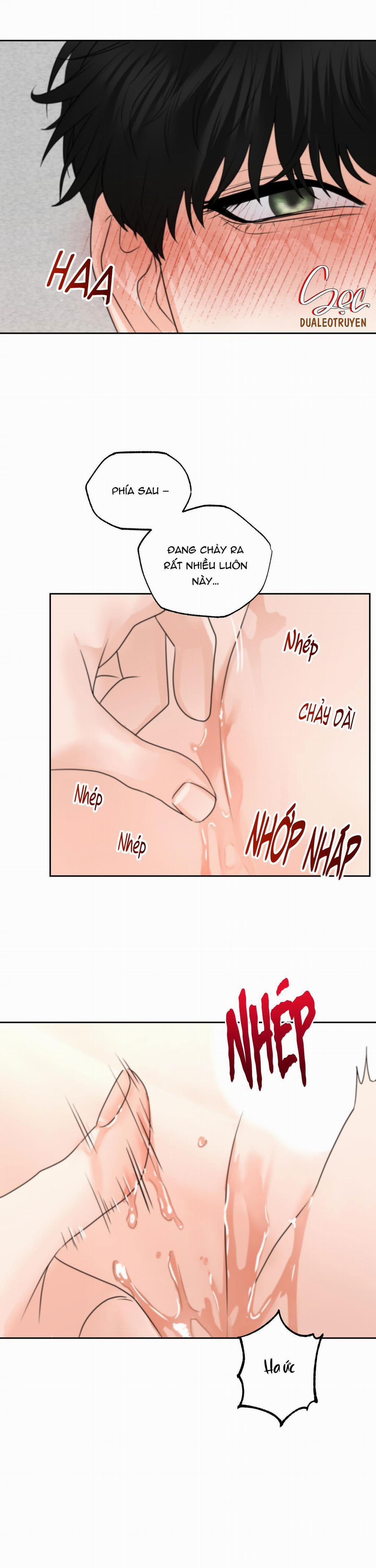 (3P) Sự Phụ Thuộc Giữa Củi Và Lửa 20 trang 17