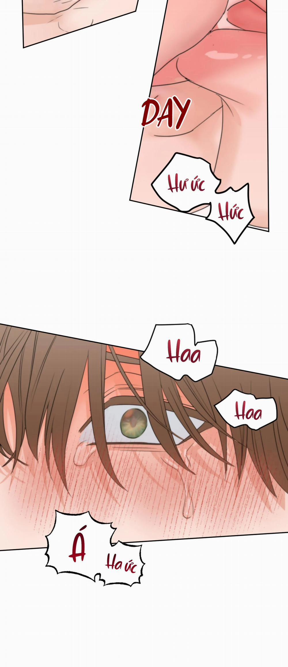 (3P) Sự Phụ Thuộc Giữa Củi Và Lửa 21 trang 27