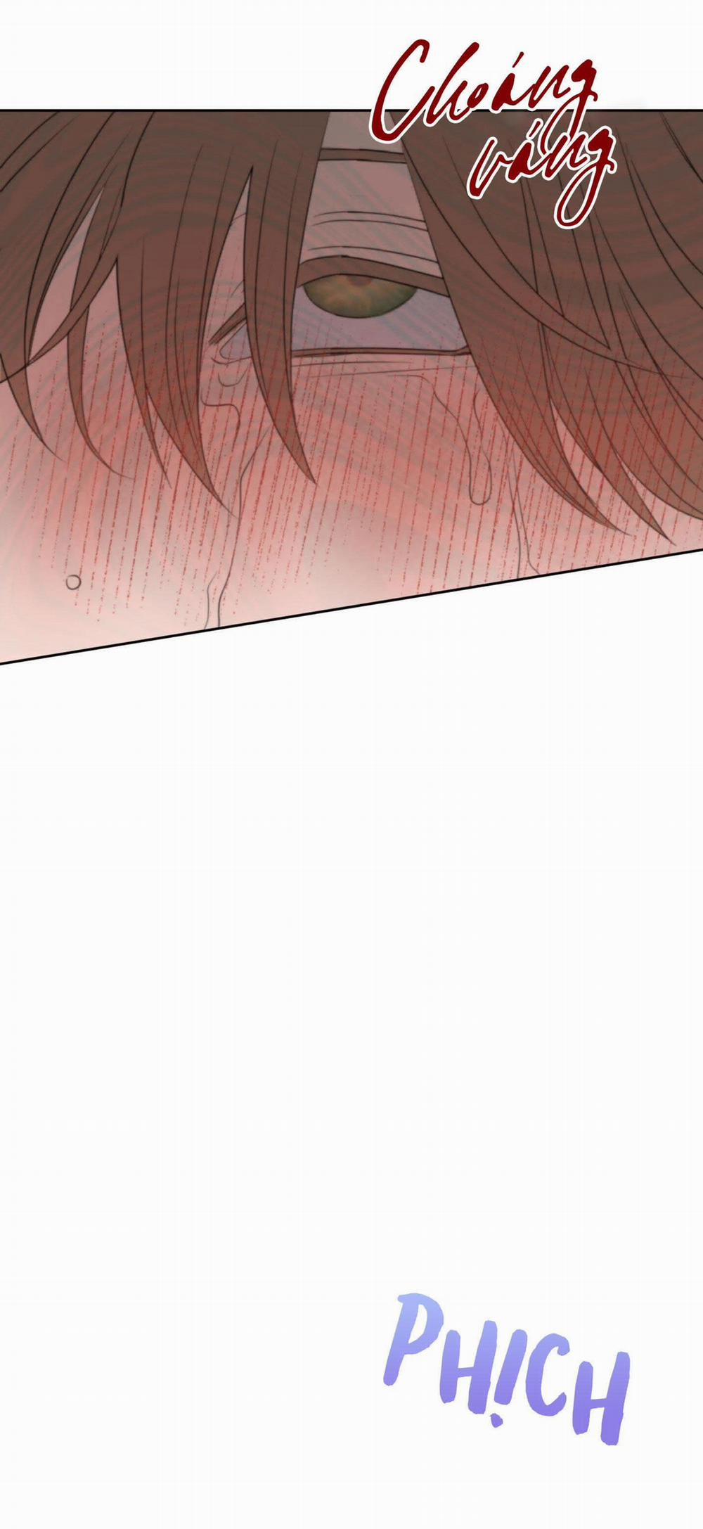 (3P) Sự Phụ Thuộc Giữa Củi Và Lửa 21 trang 28