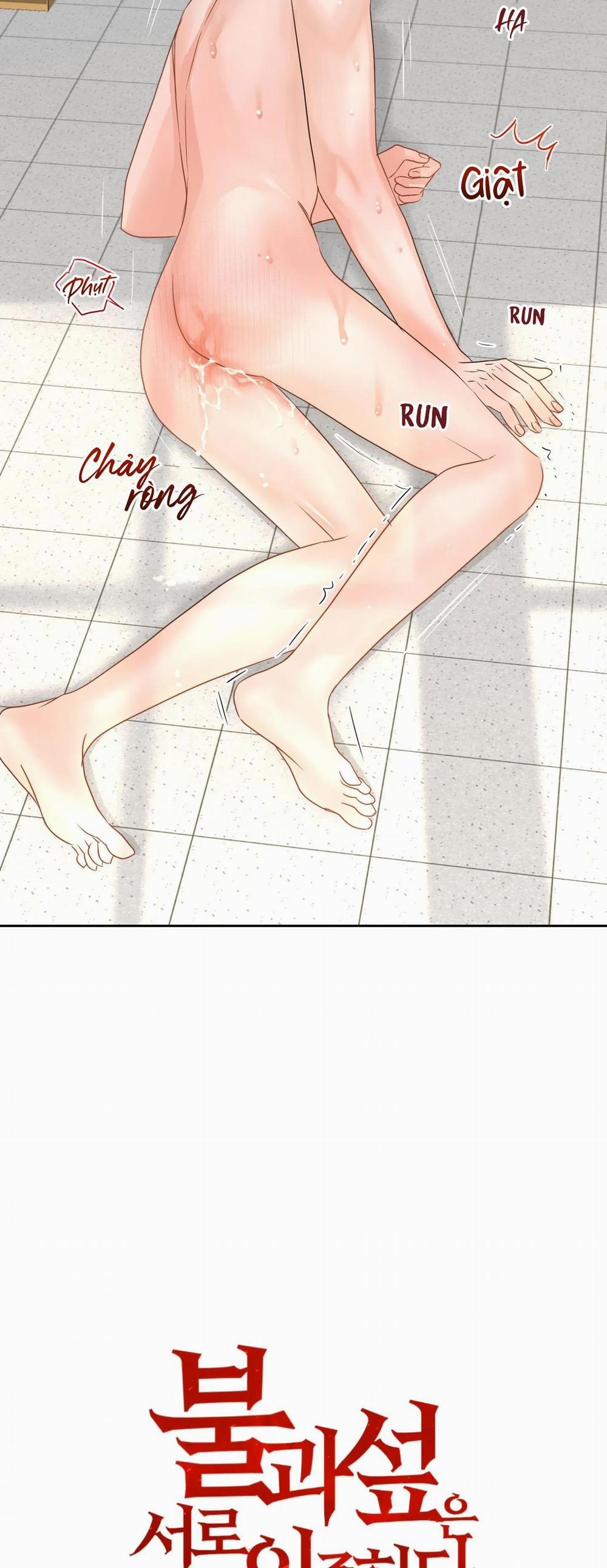 (3P) Sự Phụ Thuộc Giữa Củi Và Lửa 21 trang 5