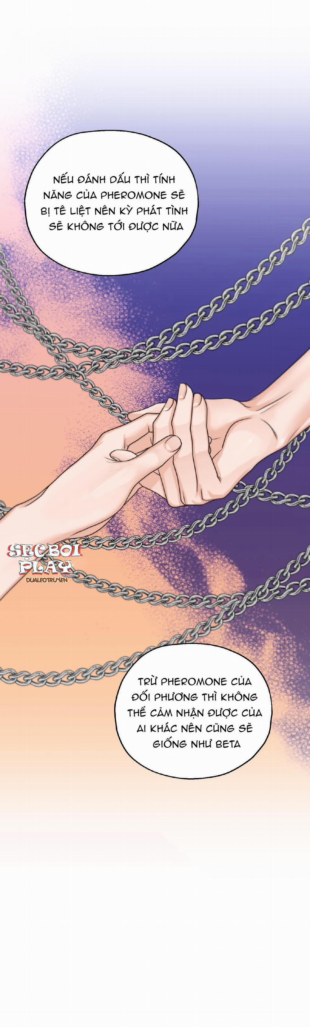 (3P) Sự Phụ Thuộc Giữa Củi Và Lửa 4 trang 20