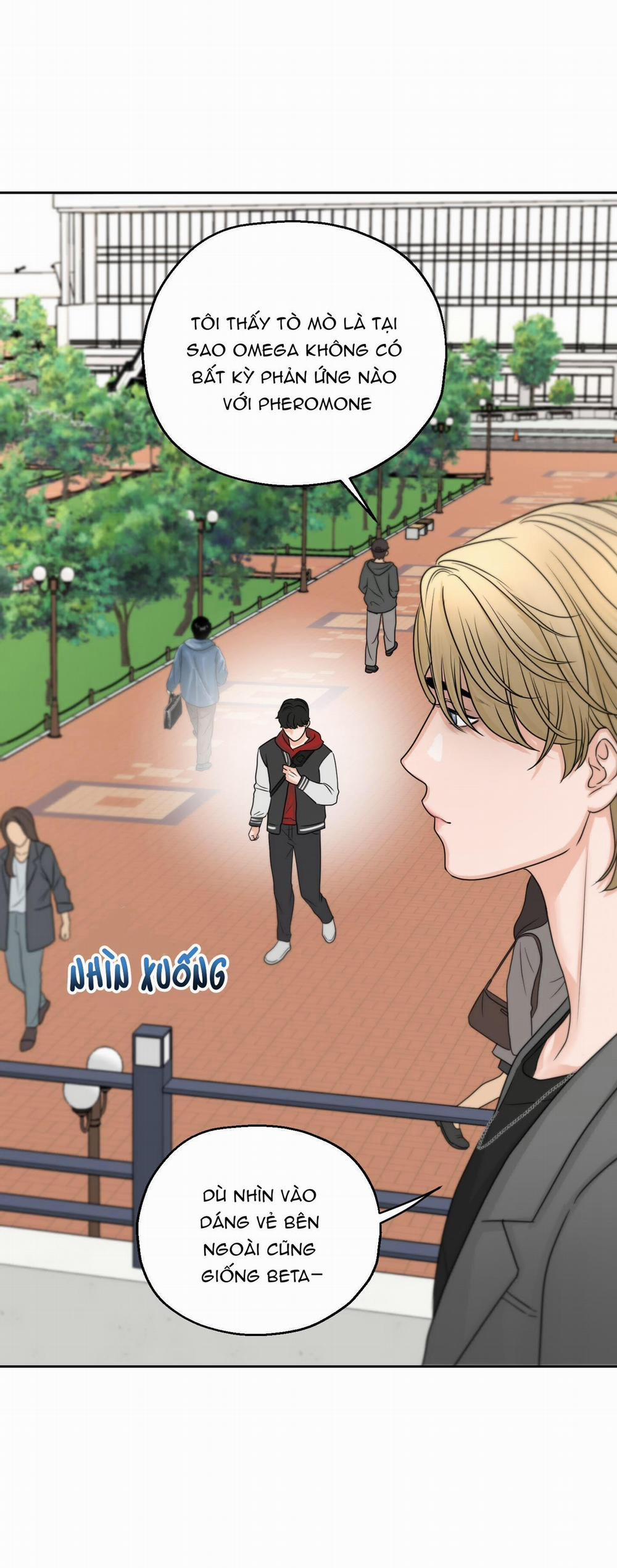 (3P) Sự Phụ Thuộc Giữa Củi Và Lửa 4 trang 5