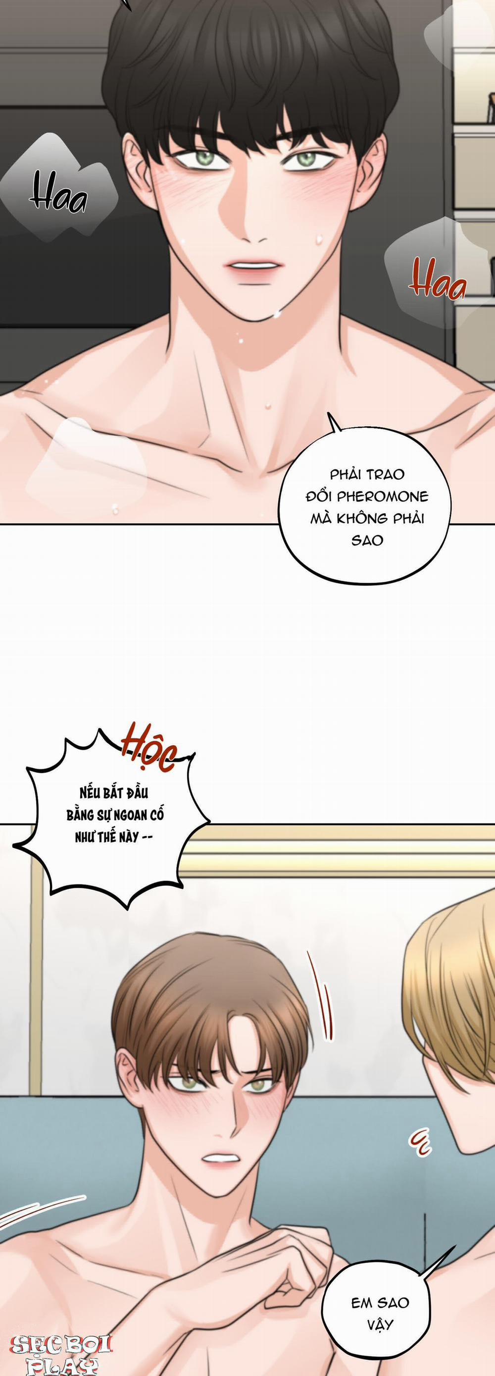 (3P) Sự Phụ Thuộc Giữa Củi Và Lửa 6 trang 13