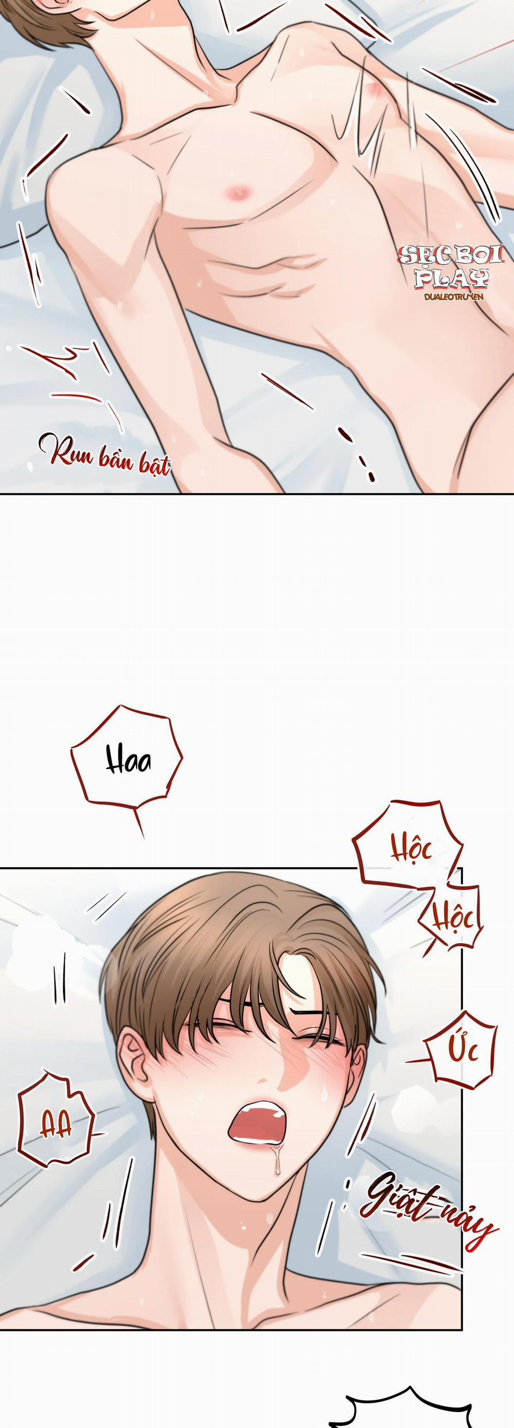 (3P) Sự Phụ Thuộc Giữa Củi Và Lửa 6 trang 16