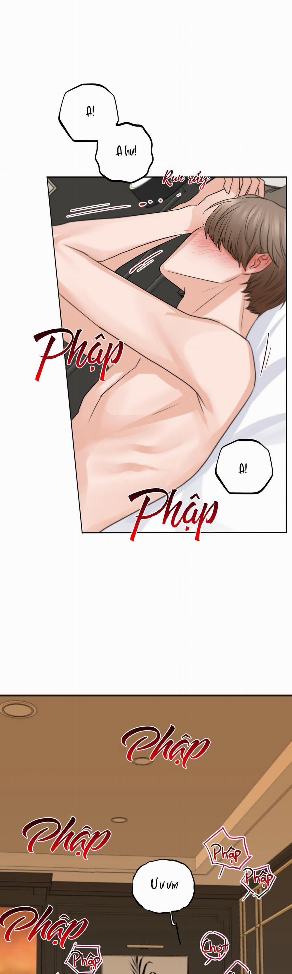 (3P) Sự Phụ Thuộc Giữa Củi Và Lửa 8 trang 28