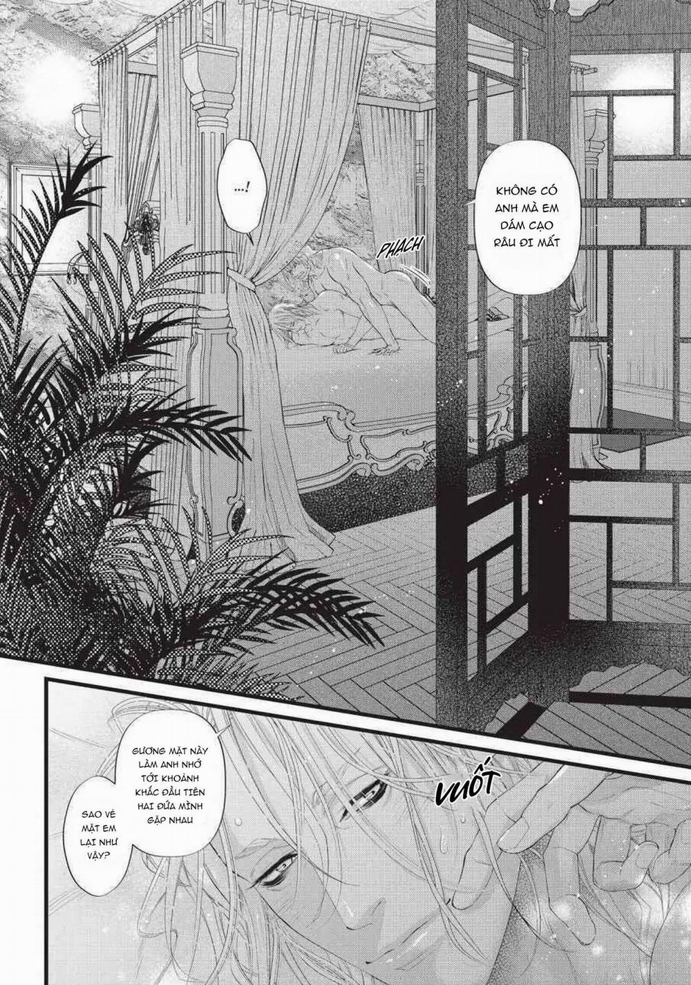 8 CHÀNG TRAI ĐẤU KIẾM TRÊN ĐẢO 14 trang 2