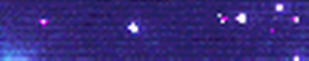 A Bitch Rose Shrouded in Books Full 3 trang 8